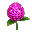 Chrysanthemum — Consumable. Failure possible. Increases your critical hit chance for 12 hours on success. The effect can be improved up to level 5 with more Chrysanthemums.