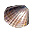 Clam — A clam with a pretty shell. Sometimes it holds a precious pearl inside.