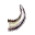 Wild Boar Tooth
