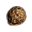 Peach Seed