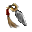 Shiriken — A throwing weapon that Ninja warriors use.