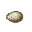 Spider Egg Sack — Used as a charm by women who do not have any children.