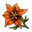 Orange-Coloured Flower