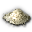 Mushroom Spores