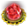 Elemental Bloom — Flower-shaped gemstone for improving your elemental talismans.