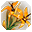 Golden Herb
